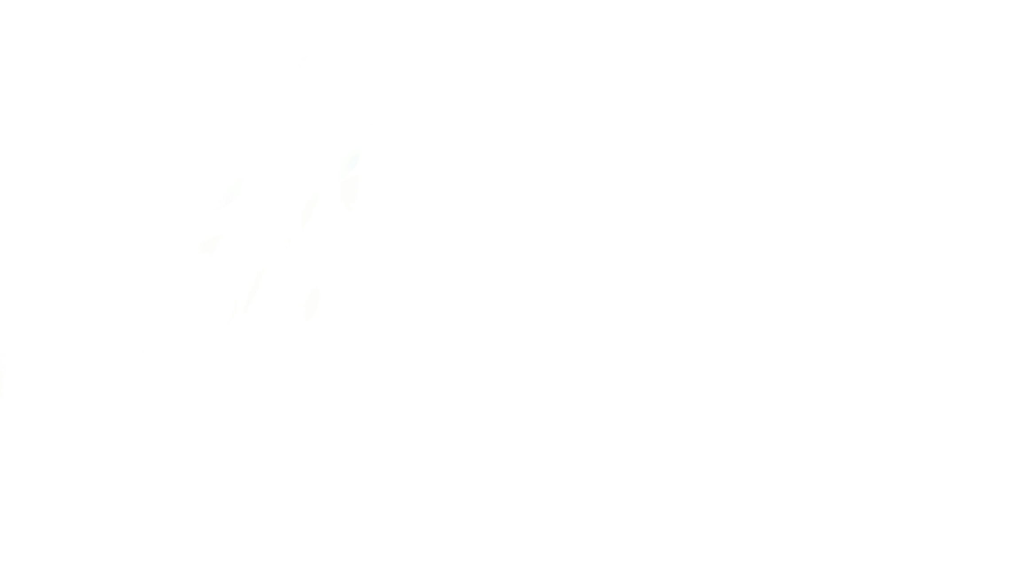 1782369369_602_17490916026a3ccc59ace3a2.08540193_Untitled.png